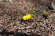 image0175