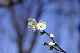 image0176