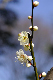 image0177