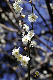 image0179