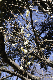image0180