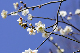 image0182