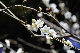 image0183