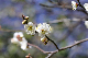 image0187