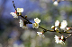 image0188