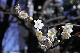 image0190