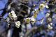 image0191