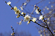 image0193