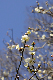 image0194