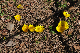 image0196