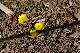 image0197