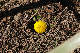 image0198