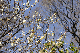 image0199