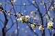 image0202