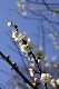 image0203