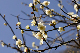 image0204