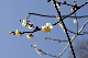 image0205