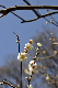 image0206