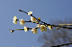image0207