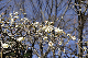 image0211