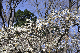 image0213