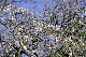 image0214