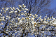 image0216
