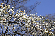 image0217