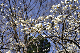 image0218