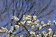 image0219