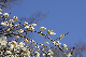 image0220