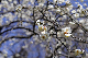 image0221
