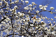 image0222
