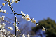 image0223