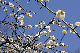 image0224