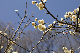 image0225