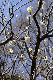 image0226
