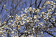 image0227