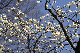 image0228