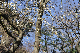 image0229