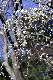 image0230