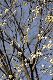 image0231