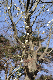 image0232