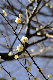 image0234
