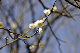 image0236
