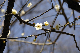image0237