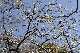 image0238