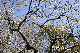 image0239