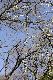 image0240