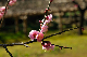 image0241
